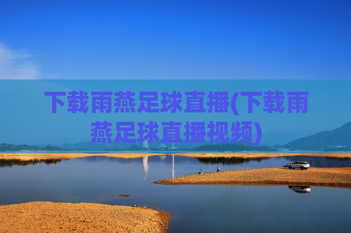 下载雨燕足球直播(下载雨燕足球直播视频)