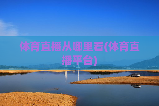 体育直播从哪里看(体育直播平台)