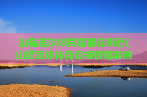 山猫足球体育直播在哪看(山猫足球体育直播在哪看回放)