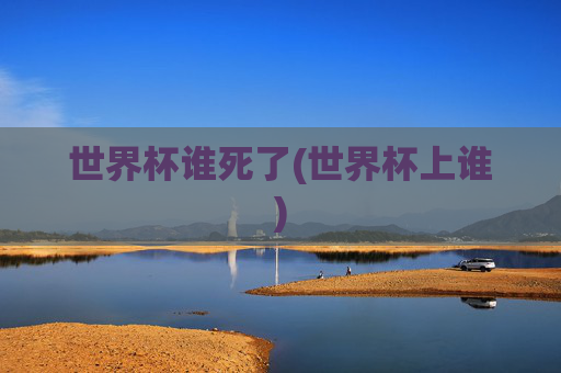 世界杯谁死了(世界杯上谁)
