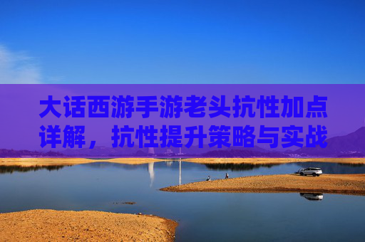 大话西游手游老头抗性加点详解,抗性提升策略与实战技巧,大话西游手游老头抗性加点详解,抗性提升策略与实战技巧