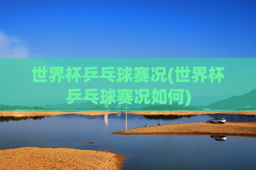 世界杯乒乓球赛况(世界杯乒乓球赛况如何)