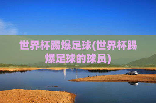 世界杯踢爆足球(世界杯踢爆足球的球员)