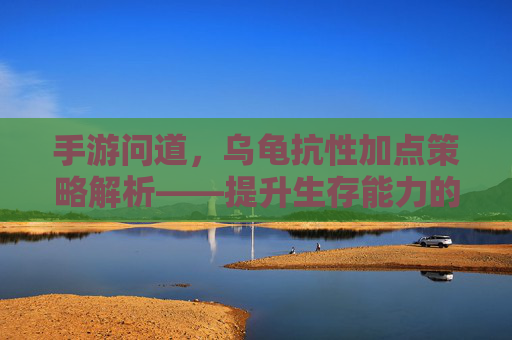 手游问道，乌龟抗性加点策略解析——提升生存能力的关键