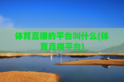 体育直播的平台叫什么(体育直播平台)