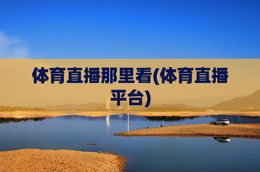 体育直播那里看(体育直播平台)