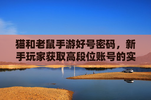 猫和老鼠手游好号密码,新手玩家获取高段位账号的实用指南