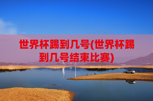 世界杯踢到几号(世界杯踢到几号结束比赛)