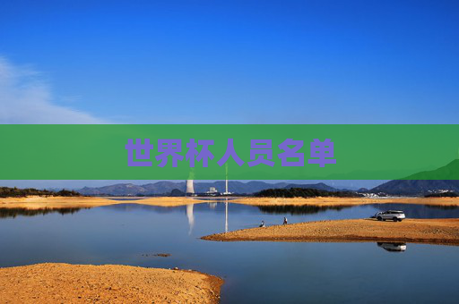 世界杯人员名单