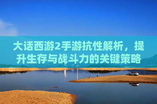 大话西游2手游抗性解析,提升生存与战斗力的关键策略
