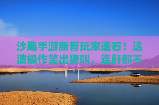 沙雕手游新晋玩家速看!这波操作笑出猪叫,连肝都不用?