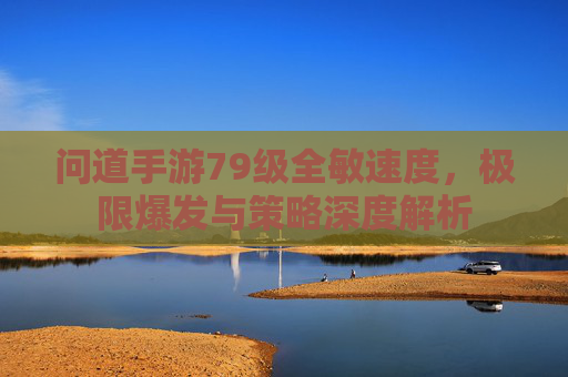 问道手游79级全敏速度,极限爆发与策略深度解析