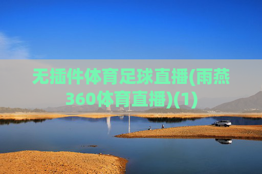 无插件体育足球直播(雨燕360体育直播)(1)