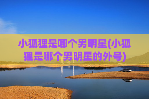 小狐狸是哪个男明星(小狐狸是哪个男明星的外号)