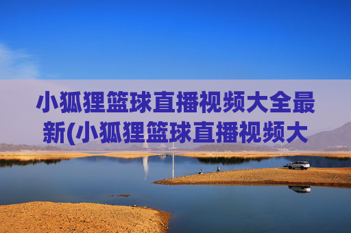 小狐狸篮球直播视频大全最新(小狐狸篮球直播视频大全最新版)