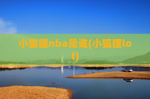 小狐狸nba是谁(小狐狸lol)