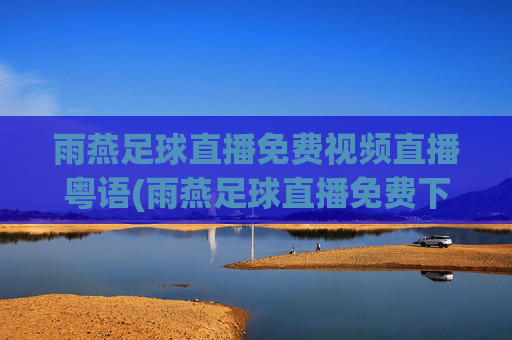 雨燕足球直播免费视频直播粤语(雨燕足球直播免费下载)