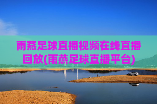 雨燕足球直播视频在线直播回放(雨燕足球直播平台)