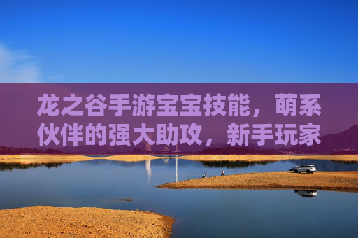 龙之谷手游宝宝技能,萌系伙伴的强大助攻,新手玩家必备攻略,龙之谷手游宝宝技能,萌系伙伴的强大助攻,新手玩家必备攻略