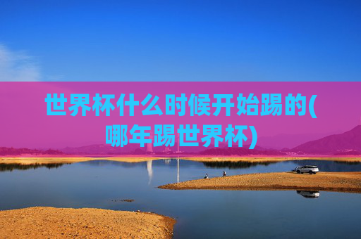 世界杯什么时候开始踢的(哪年踢世界杯)
