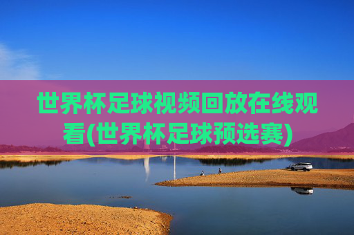 世界杯足球视频回放在线观看(世界杯足球预选赛)