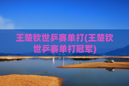 王楚钦世乒赛单打(王楚钦世乒赛单打冠军)