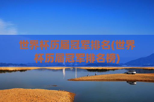 世界杯历届冠军排名(世界杯历届冠军排名榜)