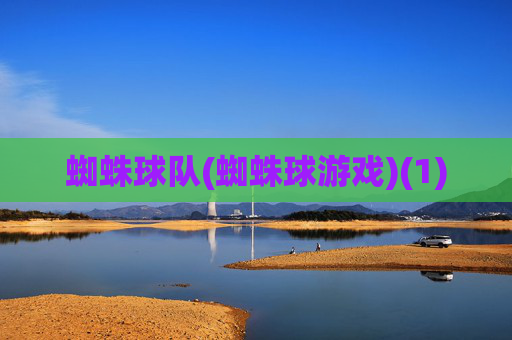 蜘蛛球队(蜘蛛球游戏)(1)