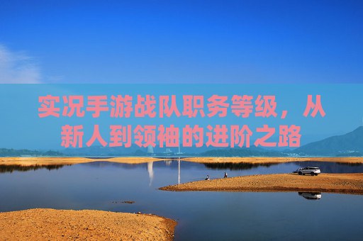 实况手游战队职务等级,从新人到领袖的进阶之路