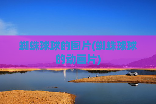 蜘蛛球球的图片(蜘蛛球球的动画片)