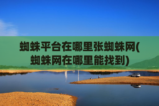 蜘蛛平台在哪里张蜘蛛网(蜘蛛网在哪里能找到)