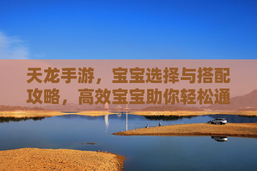 天龙手游,宝宝选择与搭配攻略,高效宝宝助你轻松通关,天龙手游宝宝选择与搭配攻略,高效宝宝助你轻松通关