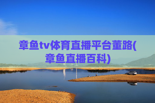 章鱼tv体育直播平台董路(章鱼直播百科)