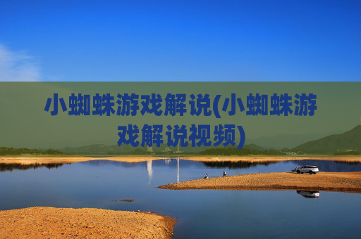 小蜘蛛游戏解说(小蜘蛛游戏解说视频)