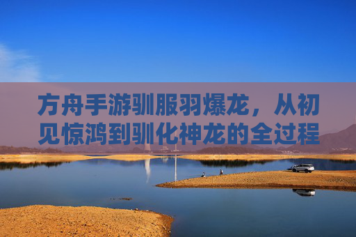 方舟手游驯服羽爆龙,从初见惊鸿到驯化神龙的全过程揭秘,方舟手游驯服羽爆龙,从初见惊鸿到驯化神龙的全过程揭秘