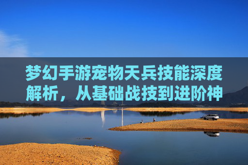 梦幻手游宠物天兵技能深度解析,从基础战技到进阶神装的华丽蜕变指南,梦幻手游宠物天兵技能深度解析,从基础战技到进阶神装的华丽蜕变指南