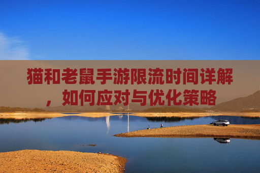 猫和老鼠手游限流时间详解，如何应对与优化策略