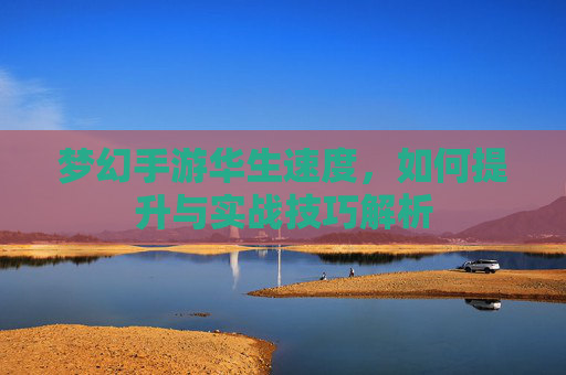 梦幻手游华生速度,如何提升与实战技巧解析