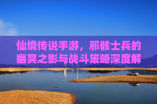 仙境传说手游，邪骸士兵的幽冥之影与战斗策略深度解析，仙境传说手游，邪骸士兵的幽冥之影与战斗策略深度解析