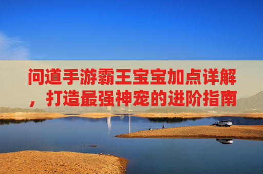 问道手游霸王宝宝加点详解，打造最强神宠的进阶指南，问道手游霸王宝宝加点详解，打造最强神宠的进阶指南