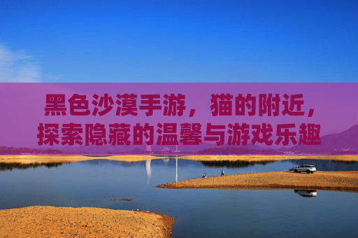 黑色沙漠手游，猫的附近，探索隐藏的温馨与游戏乐趣，黑色沙漠手游，猫的附近，隐藏的温馨与趣味探索