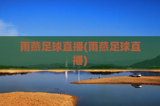 雨燕足球直播(雨燕足球直播)