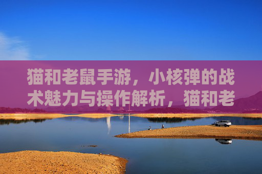 猫和老鼠手游,小核弹的战术魅力与操作解析,猫和老鼠手游小核弹,战术魅力与操作解析