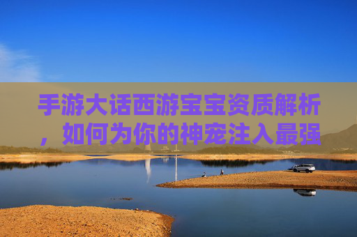手游大话西游宝宝资质解析,如何为你的神宠注入最强潜力?