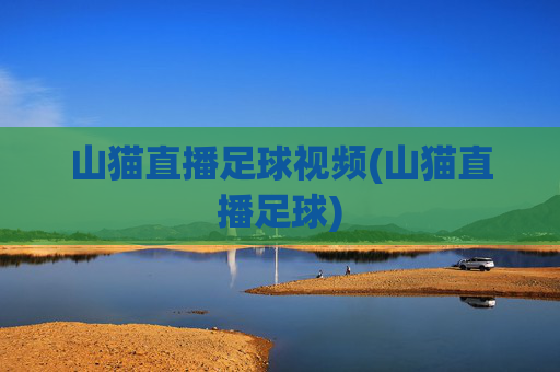 山猫直播足球视频(山猫直播足球)