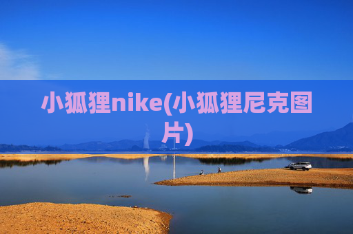 小狐狸nike(小狐狸尼克图片)