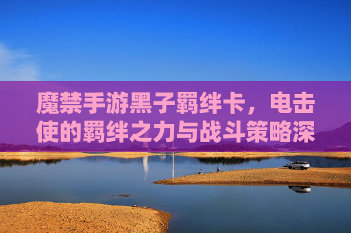魔禁手游黑子羁绊卡,电击使的羁绊之力与战斗策略深度解析,魔禁手游黑子羁绊卡,电击使的羁绊之力与战斗策略深度解析