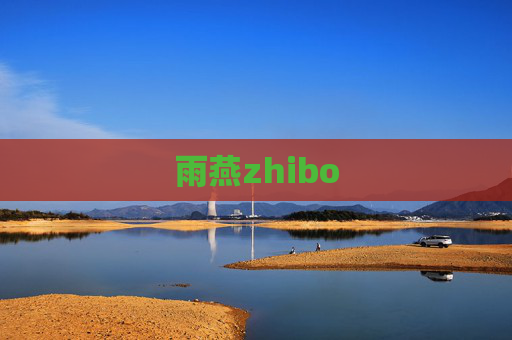 雨燕zhibo