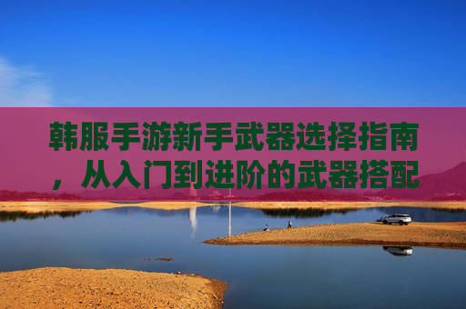 韩服手游新手武器选择指南，从入门到进阶的武器搭配全解析