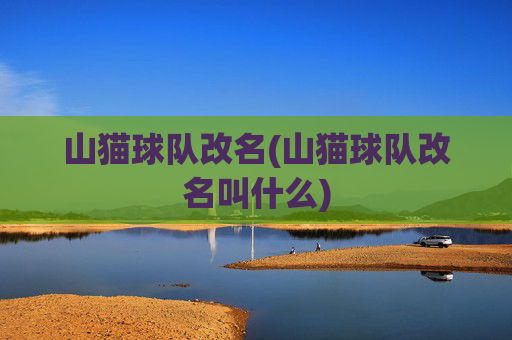 山猫球队改名(山猫球队改名叫什么)